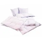 1 üzleti kép TOLLFELVÁSÁRLÁS Üzleti és kereskedelmi szervezetek ban/ben Debrecen HB