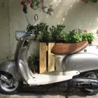 12 üzleti kép TOMED BT Autó-motor alkatrész ban/ben Budapest