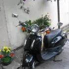 15 üzleti kép TOMED BT Autó-motor alkatrész ban/ben Budapest