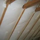 1 üzleti kép ZSIRÁFOK.HU KFT. Otthon és Építőipar ban/ben Dunaharaszti PE