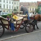 6 üzleti kép ZSÓFIA VENDÉGHÁZ PÁPA Motel, panzió ban/ben Pápa VE
