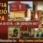 16 üzleti kép ZSÓFIA VENDÉGHÁZ PÁPA Motel, panzió ban/ben Pápa VE
