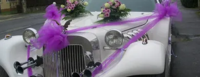 46 üzleti kép ALEXANDRA VIRÁGBOLT Virágüzlet, virágkötészet ban/ben Szombathely VA