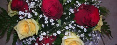 48 üzleti kép ALEXANDRA VIRÁGBOLT Virágüzlet, virágkötészet ban/ben Szombathely VA