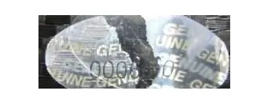 7 üzleti kép ASCENS FILIGRAN KFT Üzleti szolgáltatások ban/ben Budapest