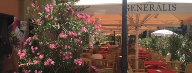 4 üzleti kép CORVINUS PIZZÉRIA ÉS PINCE ÉTTEREM Éttermek ban/ben Sopron GS