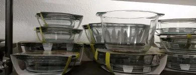 2 üzleti kép DALMA KFT. Üveg- és porcelánáruk ban/ben Budapest PE
