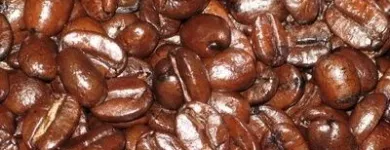 12 üzleti kép EREDETI, EGÉSZSÉGES, LÚGOSÍTÓ GANODERMA KÁVÉ, GYÓGYGOMBA KIVONATOK RENDELÉSE TEL.: 06-70-551-8575 Vendéglátás ban/ben Budapest