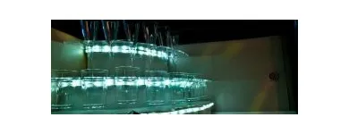 26 üzleti kép EVENINGSTAR PARTYBUS Vendéglátás ban/ben Budapest