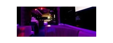 36 üzleti kép EVENINGSTAR PARTYBUS Vendéglátás ban/ben Budapest