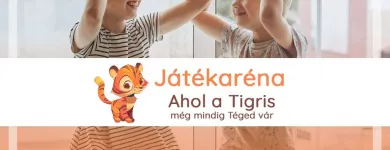 12 üzleti kép JÁTÉKARÉNA JÁTÉKBOLT Játékok ban/ben Veszprem VE