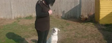 6 üzleti kép K-9 TESTŐR KUTYAISKOLA KFT Sport & Szabadidő ban/ben Nyíregyháza SZ