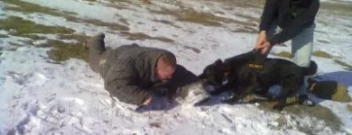 8 üzleti kép K-9 TESTŐR KUTYAISKOLA KFT Sport & Szabadidő ban/ben Nyíregyháza SZ