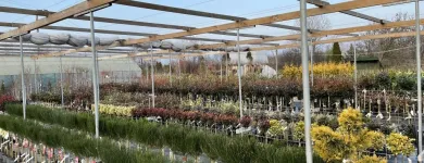 5 üzleti kép LARIX FAISKOLA Faiskolák ban/ben Miskolc BZ