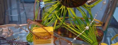 2 üzleti kép LEHEL OPTIKA Optika, optikai cikkek ban/ben Budapest PE