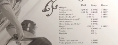 4 üzleti kép LÉVAY ÁKOS FODRÁSZ - NIMFA STÚDIÓ Fodrászat ban/ben Veszprem VE