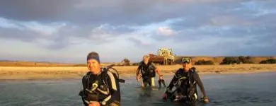 14 üzleti kép LILIOMDIVERS LTD. Utazási iroda ban/ben Hurghada