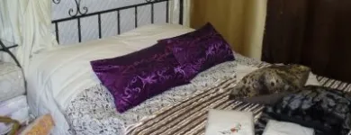 2 üzleti kép MAXIMÁL DESIGN Üzletek ban/ben Nyíregyháza SZ