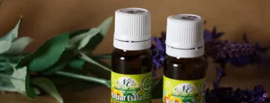 3 üzleti kép NATURCOMFORT KFT. Természetgyógyászat ban/ben Nyíregyháza SZ