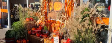 6 üzleti kép OBI ÁRUHÁZ BUDAPEST Lakásfelújítás ban/ben Budapest PE