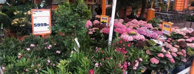 2 üzleti kép OBI ÁRUHÁZ BUDAPEST Lakásfelújítás ban/ben Budapest PE