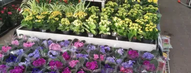 12 üzleti kép OBI ÁRUHÁZ BUDAPEST Lakásfelújítás ban/ben Budapest PE