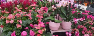 13 üzleti kép OBI ÁRUHÁZ BUDAPEST Lakásfelújítás ban/ben Budapest PE