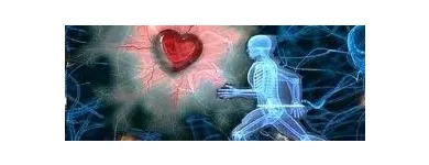 2 üzleti kép PREVENCIÓVAL SEGÍTŐ CSILLAGFÉNY EGYESÜLET Kultúra & Művészet ban/ben Kiskunhalas BK