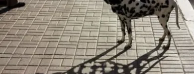 4 üzleti kép RPONT BEMUTATÓTEREM Üzleti szolgáltatások ban/ben Kaposvár SO