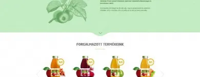 2 üzleti kép SAKÁL MÉDIA KFT. Webhosting ban/ben Nyíregyháza SZ