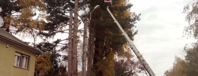 3 üzleti kép SPECIALPIN BT. Üzleti szolgáltatások ban/ben Siófok SO