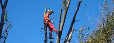 4 üzleti kép SPECIALPIN BT. Üzleti szolgáltatások ban/ben Siófok SO