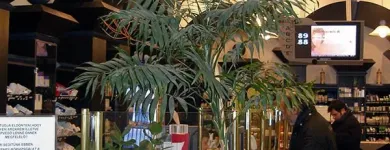 3 üzleti kép SZÉNA TÉR PATIKA FITOTÉKA Gyógyszertár ban/ben Nagyvarad HB