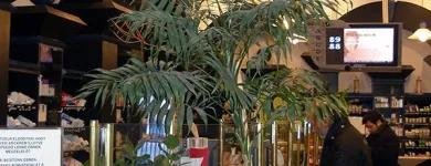 4 üzleti kép SZÉNA TÉR PATIKA FITOTÉKA Gyógyszertárak ban/ben Budapest PE