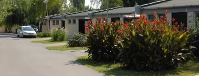 4 üzleti kép SZENTESI SPORT- ÉS ÜDÜLŐKÖZPONT NONPROFIT KFT. Üzletek ban/ben Szentes CS