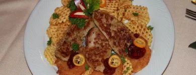 4 üzleti kép VADÁSZKÜRT ÉTTEREM ÉS PANZIÓ Vendéglátás ban/ben Sopron GS