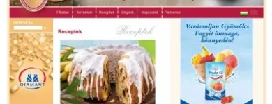 10 üzleti kép WEBGYÁRTÓ KFT. Webdesign, grafika ban/ben Kaposvár SO