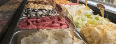 4 üzleti kép ZEBRA BRINGA KERÉKPÁRKÖLCSÖNZŐ Vendéglátás ban/ben Gárdony FE