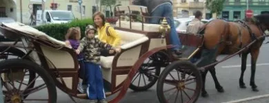 6 üzleti kép ZSÓFIA VENDÉGHÁZ PÁPA Motel, panzió ban/ben Pápa VE