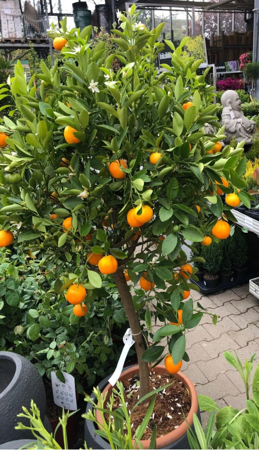 26 üzleti kép OBI ÁRUHÁZ BUDAPEST