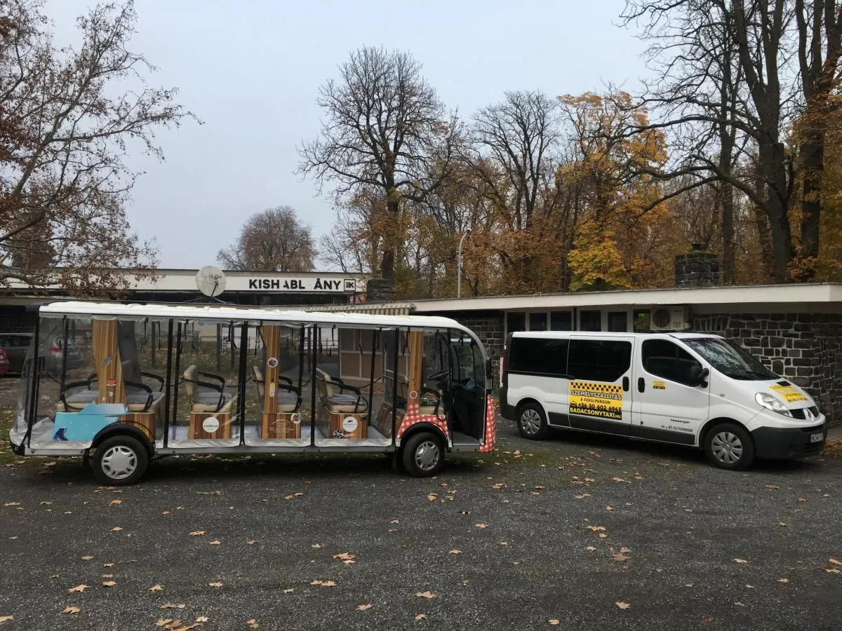 1 üzleti kép BADACSONY TAXI