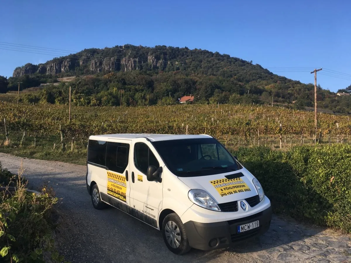 2 üzleti kép BADACSONY TAXI