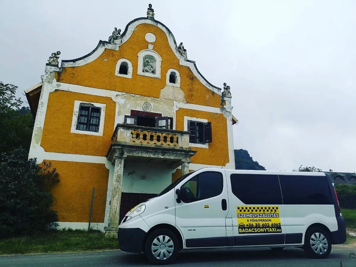 5 üzleti kép BADACSONY TAXI