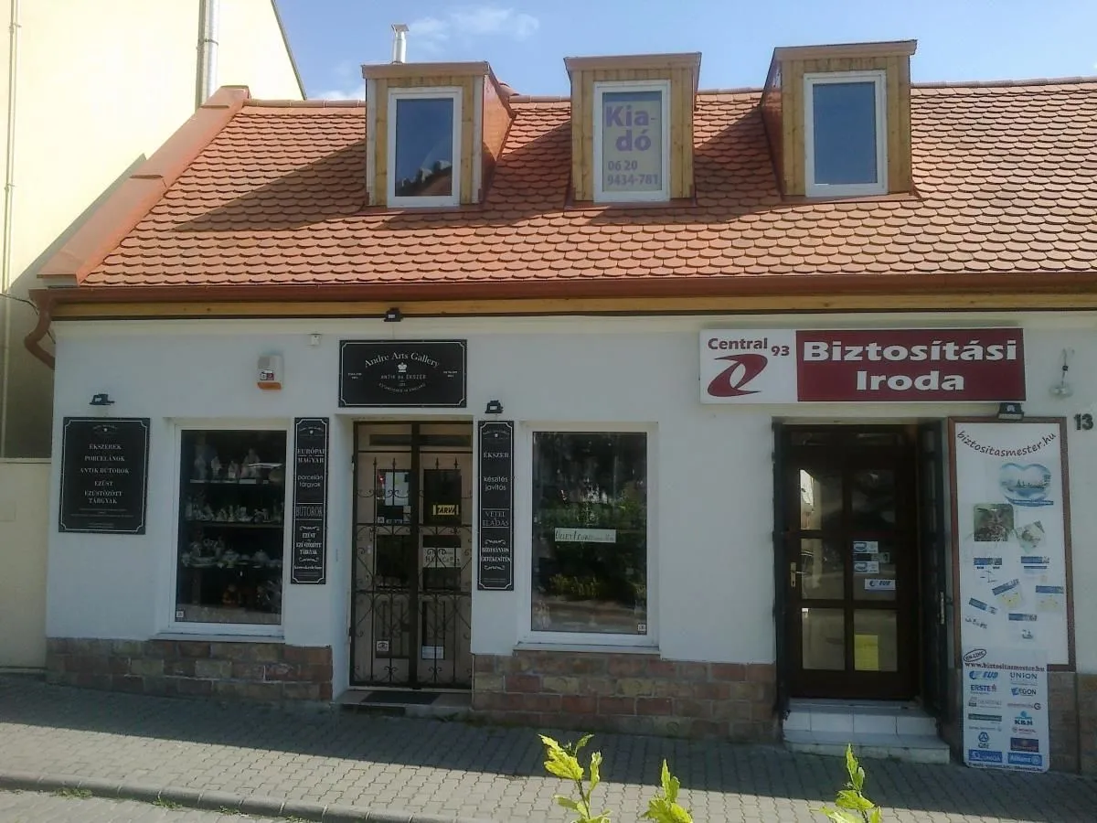 1 üzleti kép CENTRÁL 93 KFT.