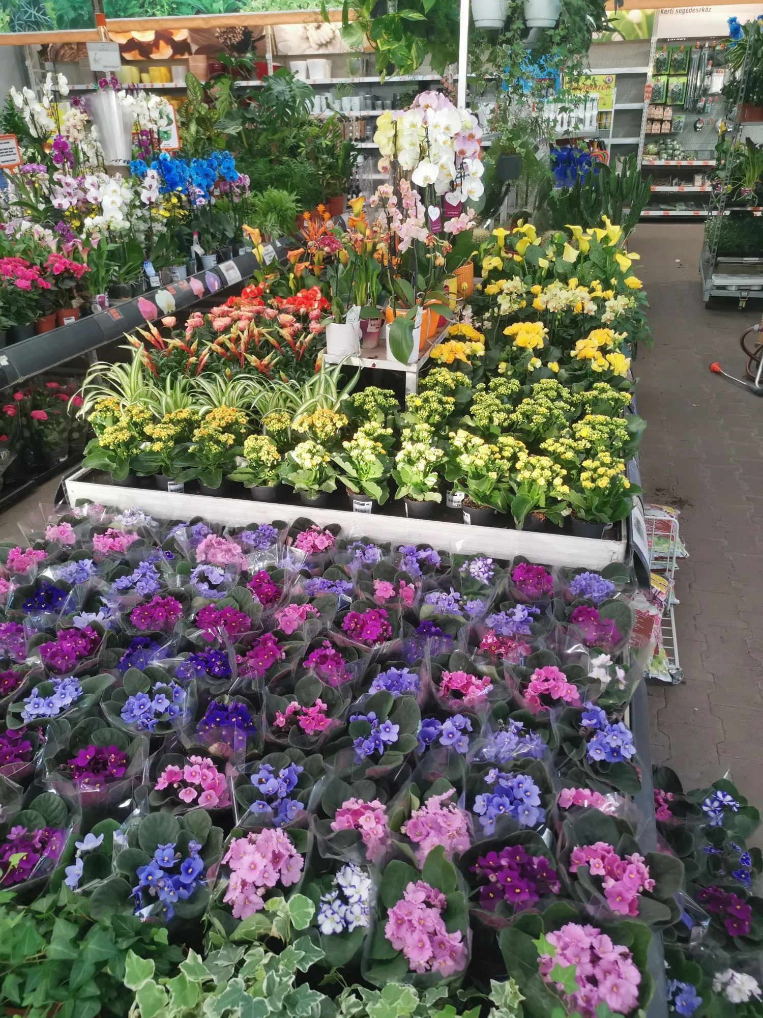 12 üzleti kép OBI ÁRUHÁZ BUDAPEST