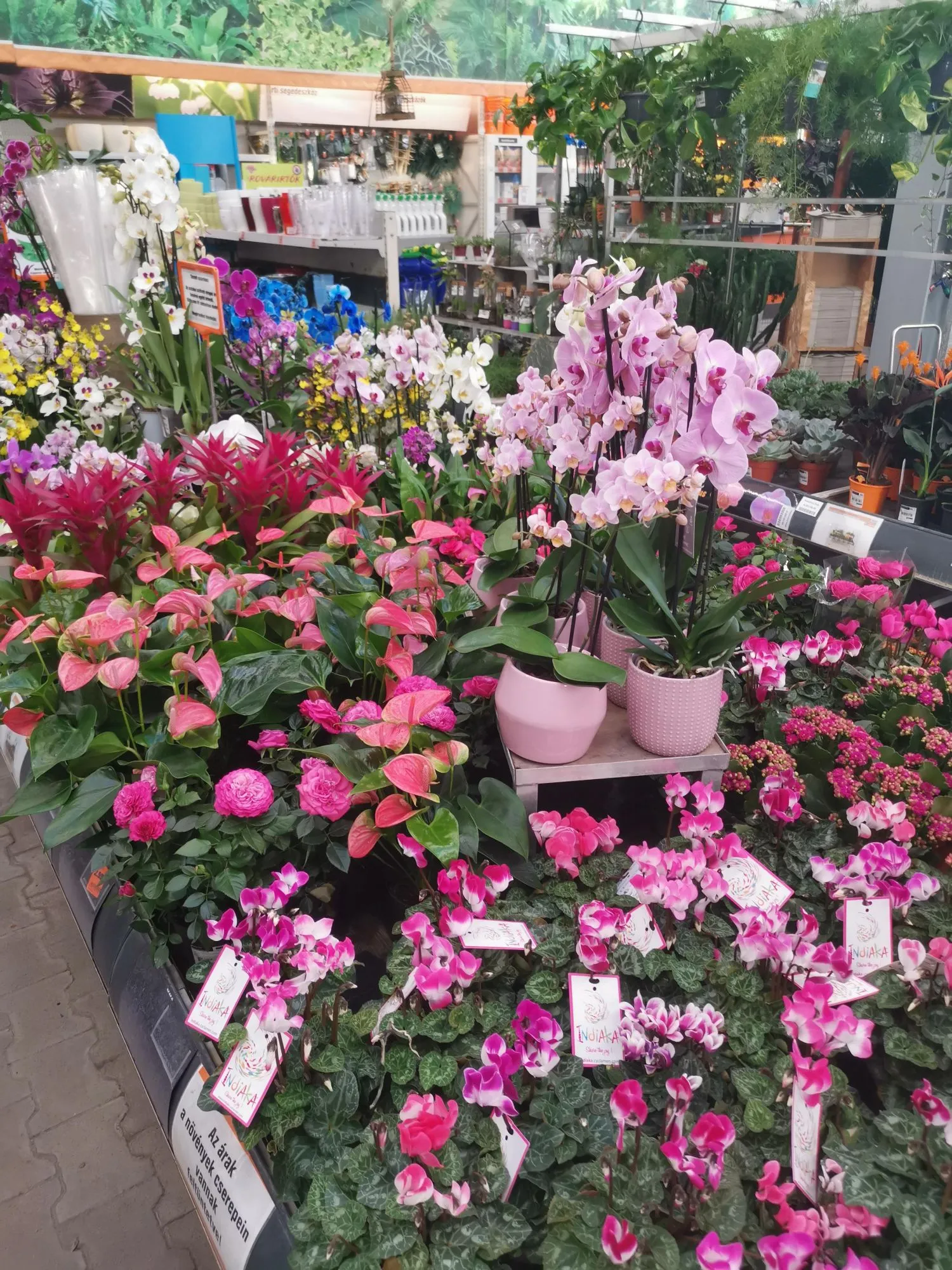 13 üzleti kép OBI ÁRUHÁZ BUDAPEST