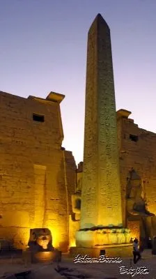 9 üzleti kép LILIOMDIVERS LTD.