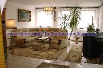 3 üzleti kép KAPCSOS VILLA