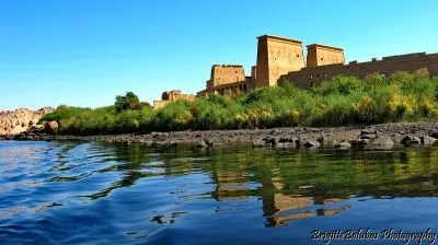 12 üzleti kép LILIOMDIVERS LTD.