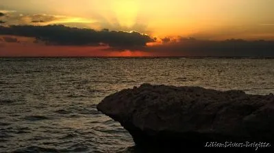 15 üzleti kép LILIOMDIVERS LTD.